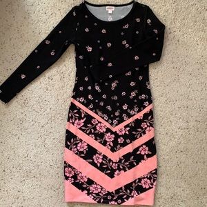 Pink Floral Elegant Lularoe Dress